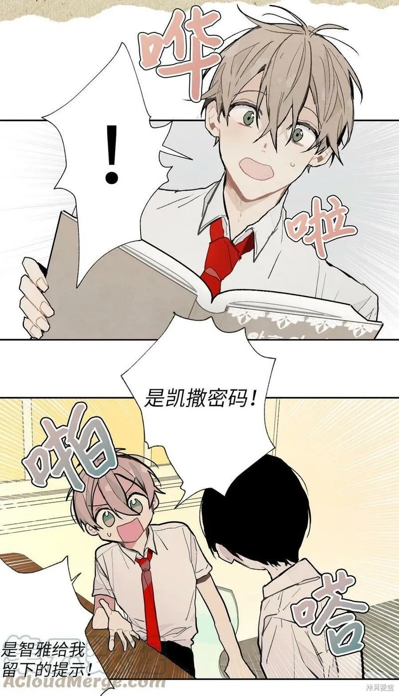 19.jpg
